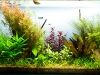 Layout Acquario 1