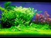 Layout Acquario 4